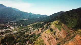 "Nature's Symphony: A Journey Through Wilderness"