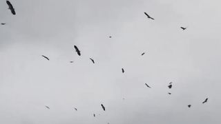 ???????? 178