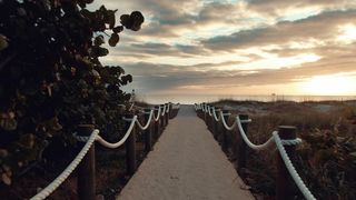 "Wild Escapes: Nature's Hidden Gems"