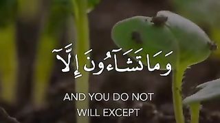 Sobhi - Quran Tilawat -  Whatsapp status - Beautiful Quran recitation 2021