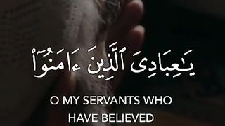kullu nafsin zaikatul maut by Sherif mostafa - Quran Tilawat status - Beautiful Quran recitation