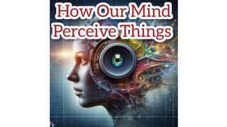 How we perceive things