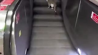 Some adorable cat behavior