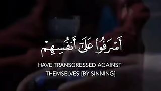 Quran Tilawat -  WhatsApp status - Beautiful Quran recitation 2023 #Shorts 3