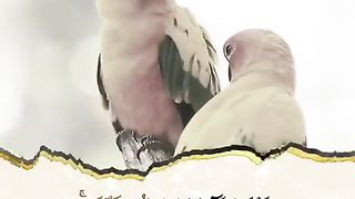Raad Al Kurdi - Innallaha wa malaikatahu yusholluna alan nabi - Beautiful Quran recitation 2023