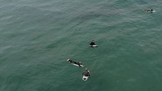 "Seventh Wave Odyssey: Surfing the Swells"