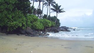 "Riding the Seventh Wave: An Ocean Odyssey"