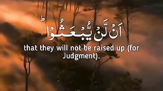 Raad Al kurdi -  whatsapp - Quran Tilawat - English Translation Status - Beautiful recitation_5