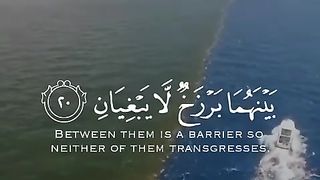 Quran Tilawat -  WhatsApp status - Beautiful Quran recitation