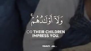 WhatsApp status - Beautiful Quran recitation