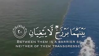 Quran Tilawat -  WhatsApp status - Beautiful Quran