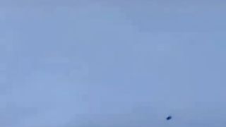 Nice video eagles????