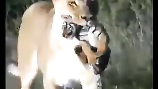 Line female product tiger child