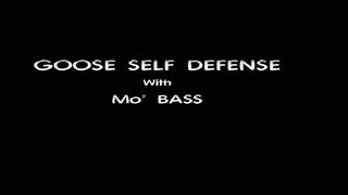 Goose Defence