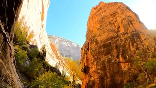 Creature Video | Nice Relaxing Video | Peaceful Environment | #nature #shortsvideo