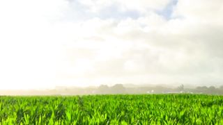 Deep Focus Nature | Amazing Nature | Peaceful Environment | #nature #febspot