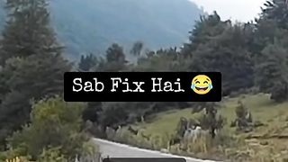 Funny Sheep Viral Video 2
