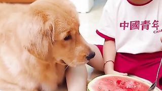Funny | "Trusted and Disappointed: A Hilarious Tale of Trust Gone Awry!" | FunFM