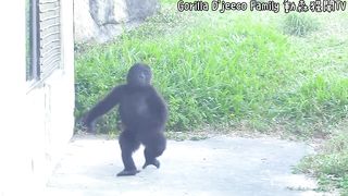 Funny | "Big Boy's Show-Off Spectacular: When Confidence Meets Comedy!" | FunFM