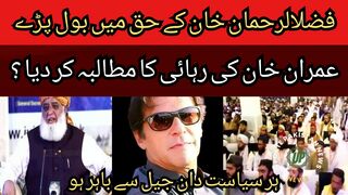 Maulana Fazlur Rehman spoke in favor of Imran Khan... every politician should be out of jail.