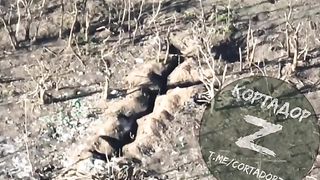 Ukraine Russia War | FPV Drones Hit Ukrainian Troops in Trench | RCF