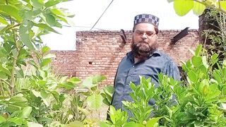 ہم نے اتنا بڑا امرود کا پودا کیوں کاٹا