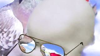 How to get 1000 subscribe?