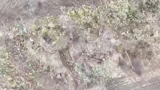 Ukraine Russia War | 92nd Brigade Assault Near Bakhmut | Blinding Russian Major | RCF