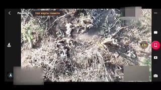 Ukraine Russia War | KIA and WIA Ukrainians After Russian Assault on Position | RCF