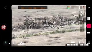 Ukraine Russia War | Destruction of Ukrainian Evacuation Group | Priyutny Direction | RCF