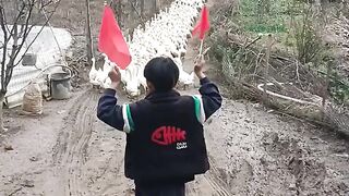 Oddly satisfying 2022 video animal video | Pixie