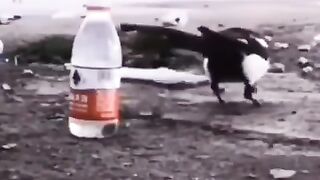 Закон Архимеда