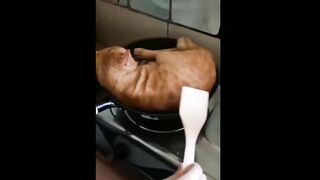 cutest cats - cats lovers must watch ???? #cat #meowmeow #cutecat #catsvideos #catlovers