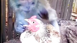 Cute animals 14
