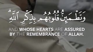 Samir Ezzat - Quran Tilawat -  WhatsApp status - English Quran - Beautiful recitation