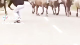 So Funny Video????????????????