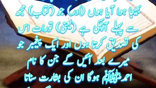 Quran Quotes | Surah as Saff |  Status
