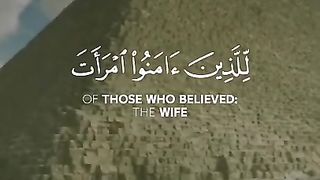 Sherif Mostafa - Quran Tilawat -  WhatsApp status - Beautiful Quran recitation 2023 #Shorts