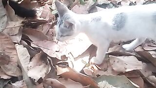 Animal lovers