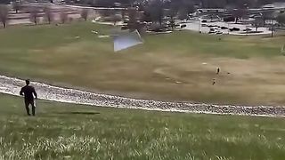 Paper fly