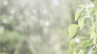 relaxation Piano melodic and quiet rain sounds