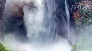Natural video 40