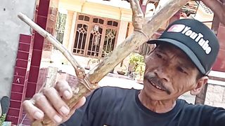 Bambu petuk sejajar 4
