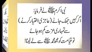 اسلامی معلومات 329