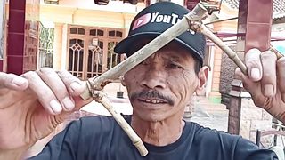 Bambu petuk sejajar 5