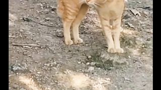 Seconds, Oyen is in a trance#fyp