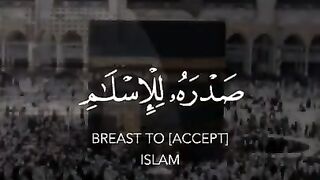 Tariq Mohammed - Quran Tilawat -  WhatsApp status - Beautiful Quran recitation