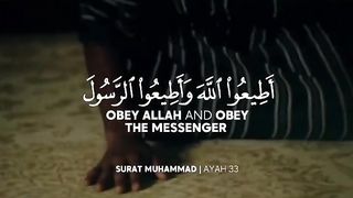 Tariq Mohammed - Quran Tilawat -  WhatsApp status - Beautiful Quran recitation 2023 #Shorts_2