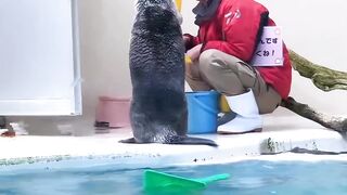 For animals