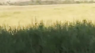 Ukraine Russia Skies | Mi-24P-Vs Strike Russian Positions | RCF